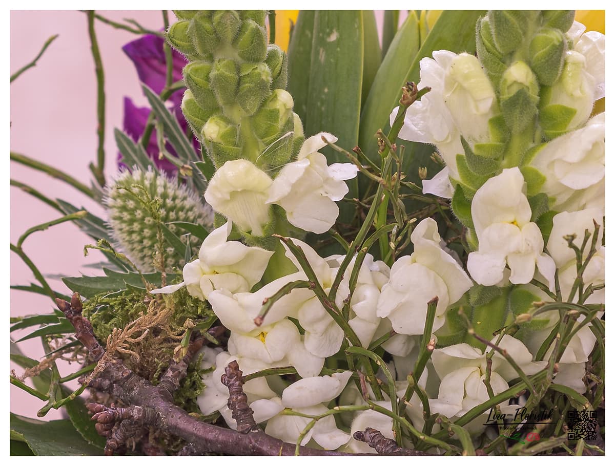 Snapdragons in detail