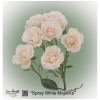 Ecuador Rose Spray White Majolica