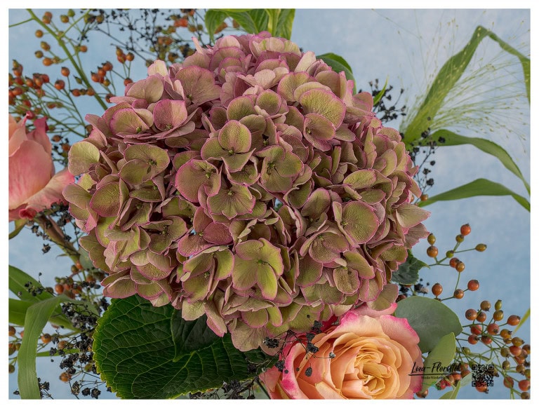 French hydrangea and roses - detail