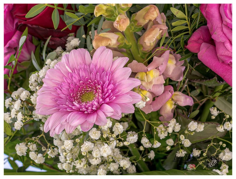 Detail - gerbera and gypsophila