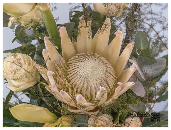 White royal protea in a condolence bouquet in detail