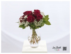 Red roses explorer and white gypsophila