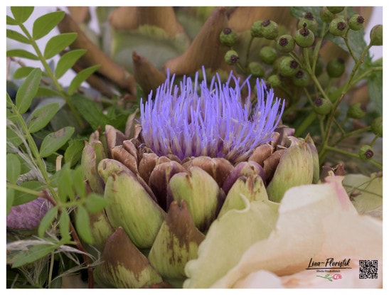 artichoke