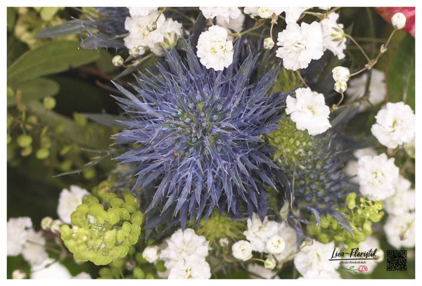Thistles