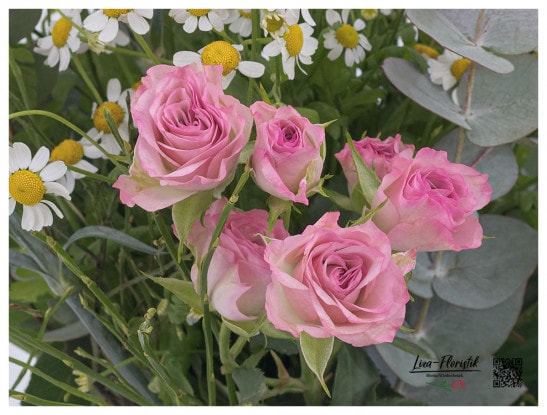 Polyantharoses