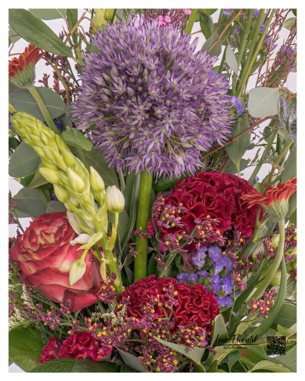 Statice, Allium and Celosia in detail.