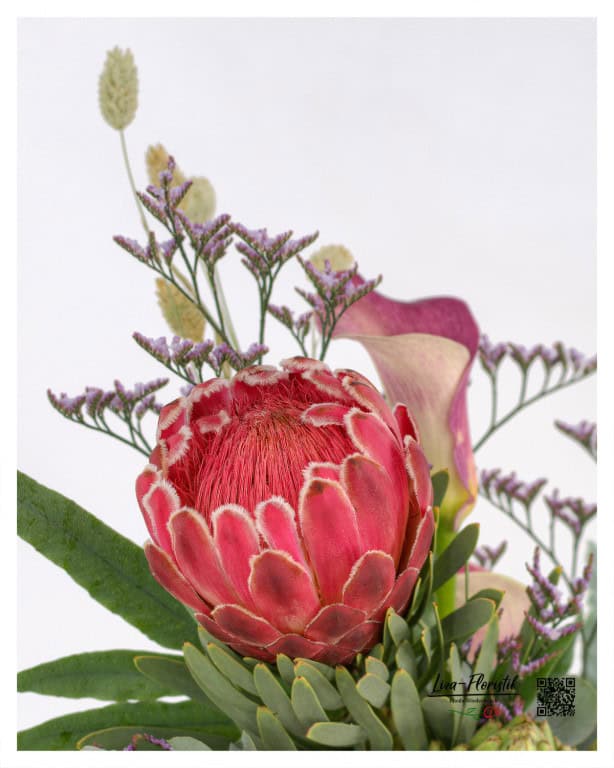 In detail - protea