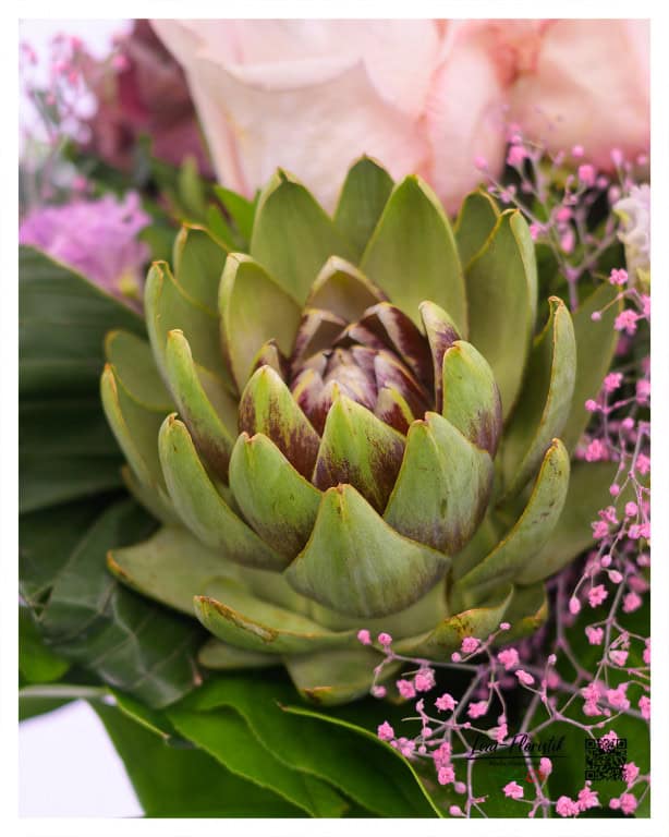 Detailed view of an artichoke