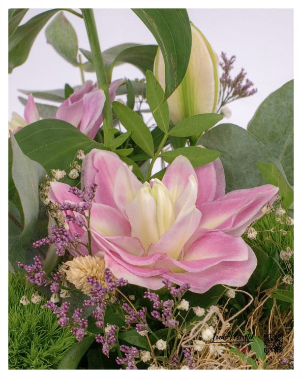 Beautiful pink lily surrounded by delicate purple and green accents.