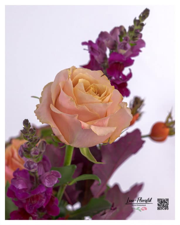 Delicate apricot-colored Ecuador rose in front of purple snapdragons and rose hips in an elegant floral arrangement