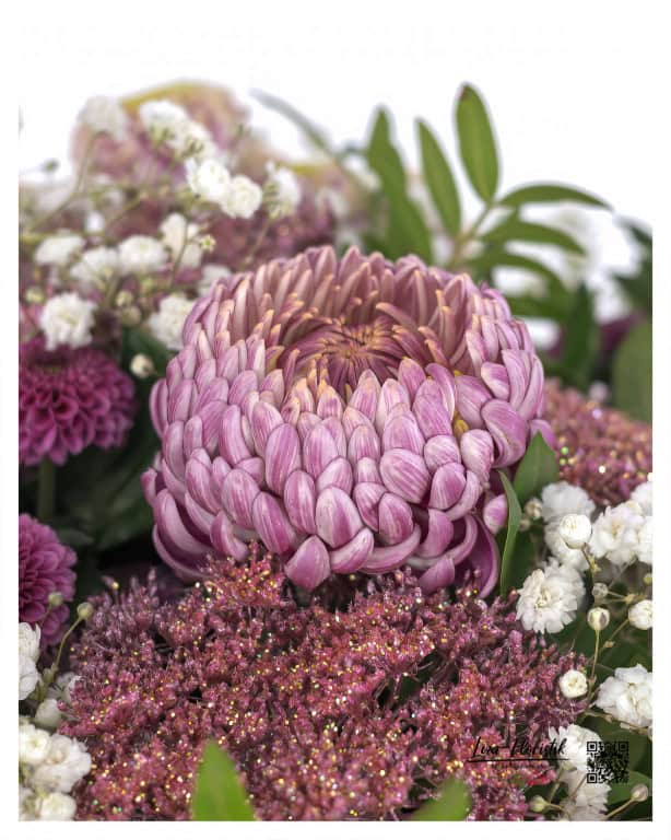 Chrysanthemum in focus, surrounded by delicate gypsophila and shimmering colored Ami