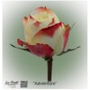 Ecuador Rose Adventure