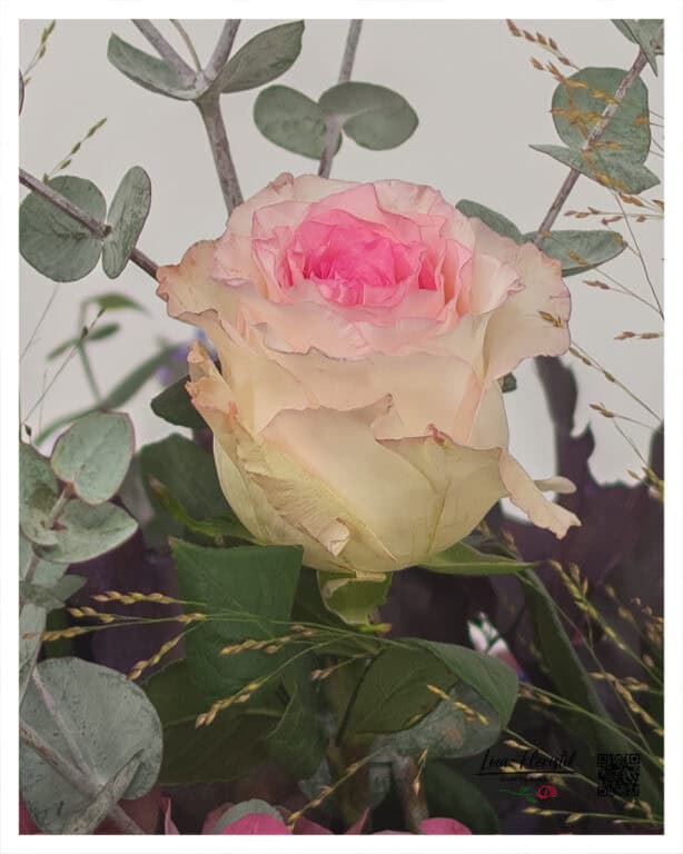 With its soft color and fine flower edge, the Ecuador rose provides a bright accent in the natural interplay of warm nuances