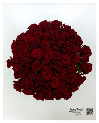 Top view of 70 red roses, bloom to bloom, arranged into a perfectly rounded dome