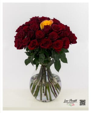 Dark red roses with a single yellow rose in the center