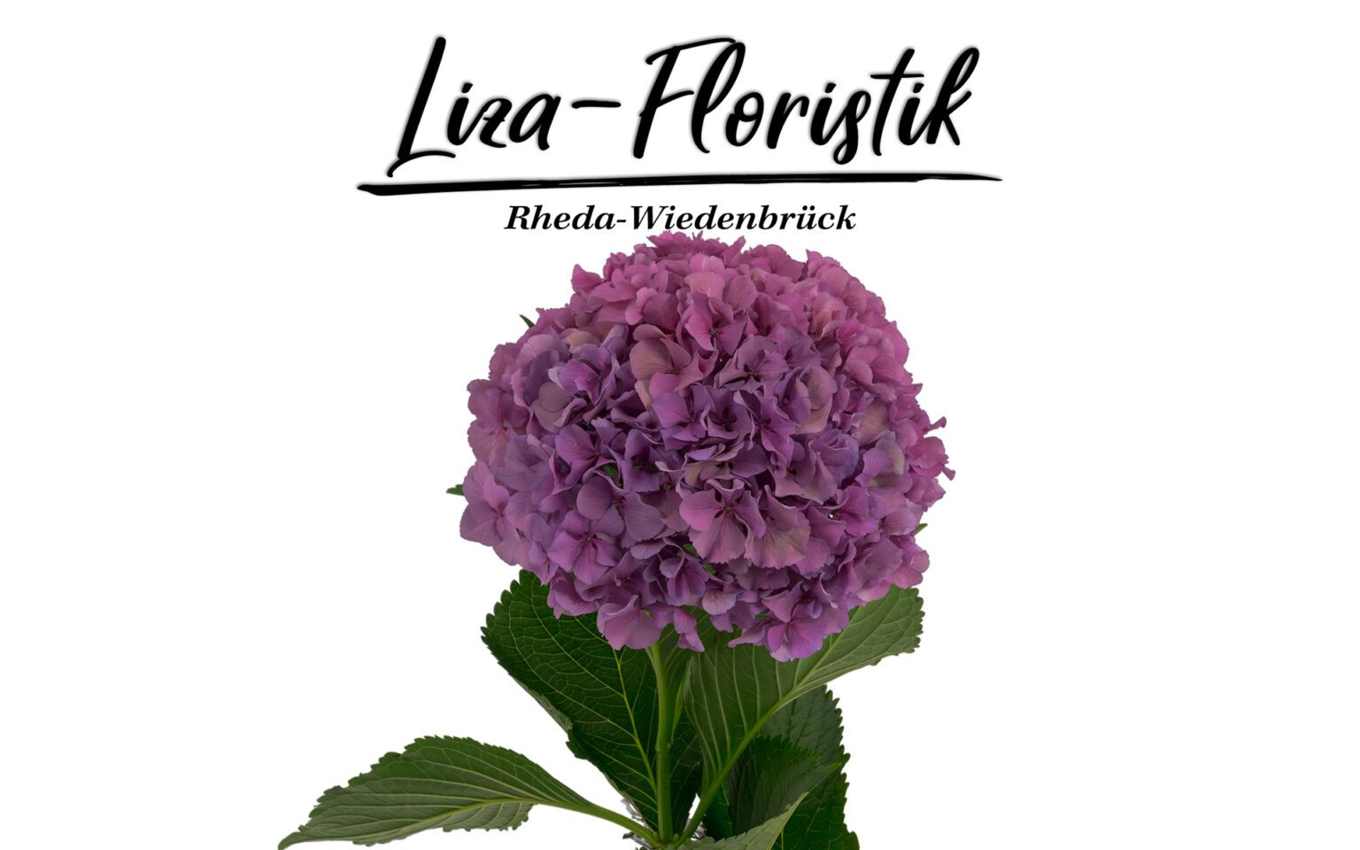 Liza-Floristik – Flower delivery to Gütersloh and Rheda-Wiedenbrück / Germany
